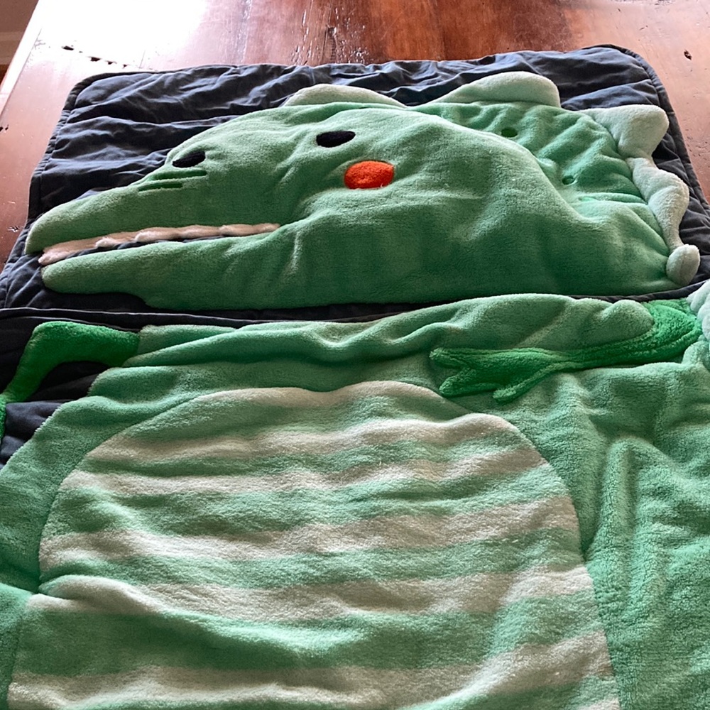 Kids dinosaur sleeping bag